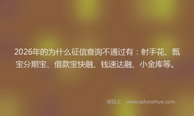 2026年的为什么征信查询不通过有：射手花、甄宝分期宝、借款宝快融、钱速达融、小金库等。