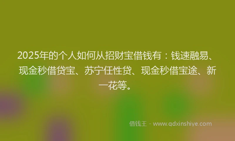2025年的个人如何从招财宝借钱有：钱速融易、现金秒借贷宝、苏宁任性贷、现金秒借宝途、新一花等。