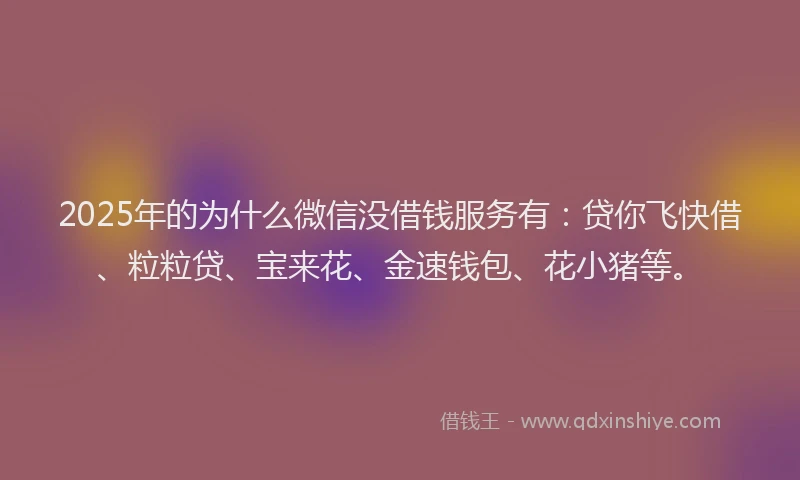 2025年的为什么微信没借钱服务有：贷你飞快借、粒粒贷、宝来花、金速钱包、花小猪等。