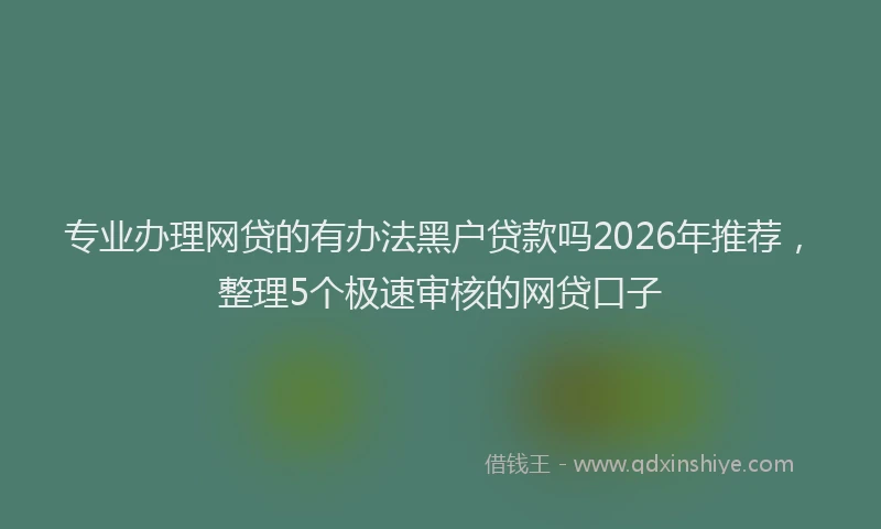 专业办理网贷的有办法黑户贷款吗2026年推荐，整理5个极速审核的网贷口子