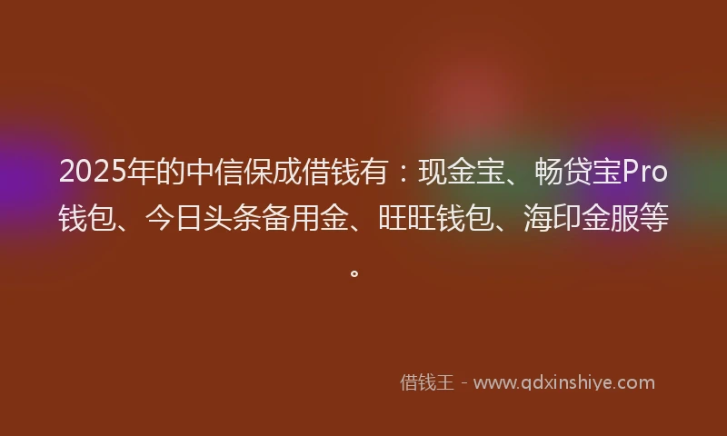 2025年的中信保成借钱有：现金宝、畅贷宝Pro钱包、今日头条备用金、旺旺钱包、海印金服等。