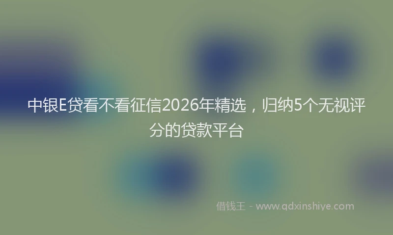 中银E贷看不看征信2026年精选，归纳5个无视评分的贷款平台