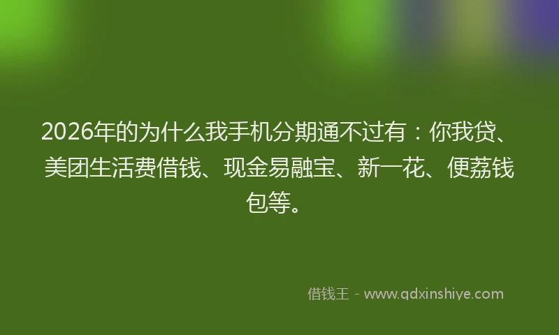 2026年的为什么我手机分期通不过有：你我贷、美团生活费借钱、现金易融宝、新一花、便荔钱包等。