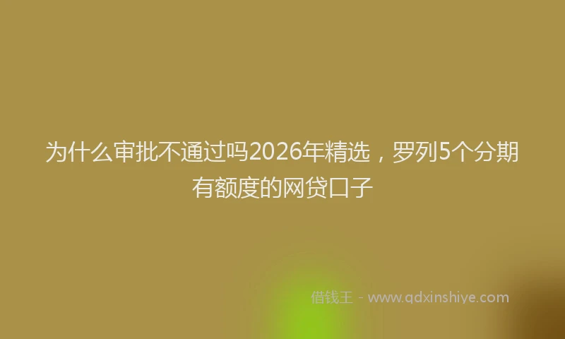 为什么审批不通过吗2026年精选，罗列5个分期有额度的网贷口子