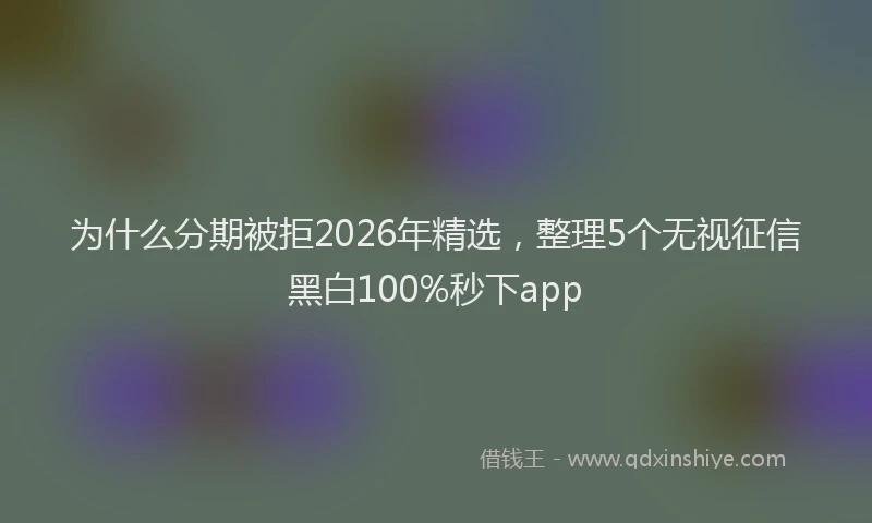 为什么分期被拒2026年精选，整理5个无视征信黑白100%秒下app