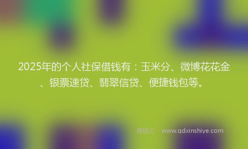2025年的个人社保借钱有：玉米分、微博花花金、银票速贷、翡翠信贷、便捷钱包等。