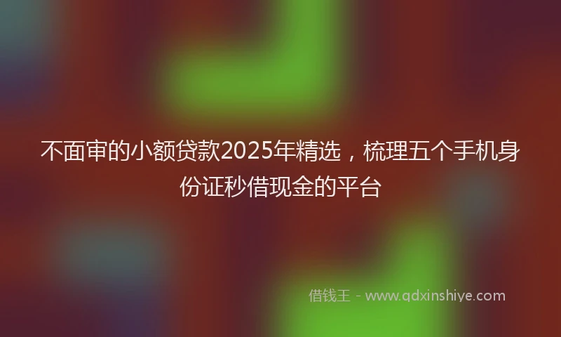 不面审的小额贷款2025年精选，梳理五个手机身份证秒借现金的平台