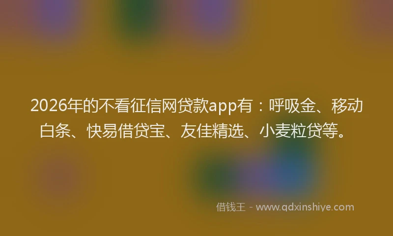 2026年的不看征信网贷款app有：呼吸金、移动白条、快易借贷宝、友佳精选、小麦粒贷等。