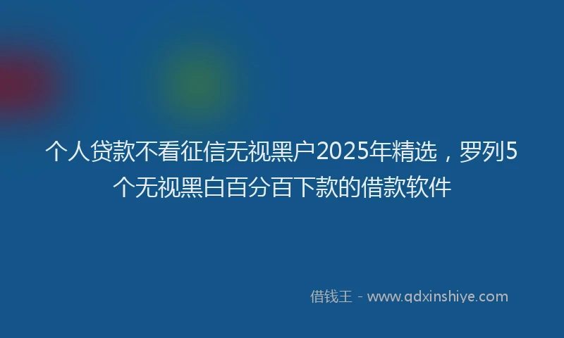 个人贷款不看征信无视黑户2025年精选，罗列5个无视黑白百分百下款的借款软件