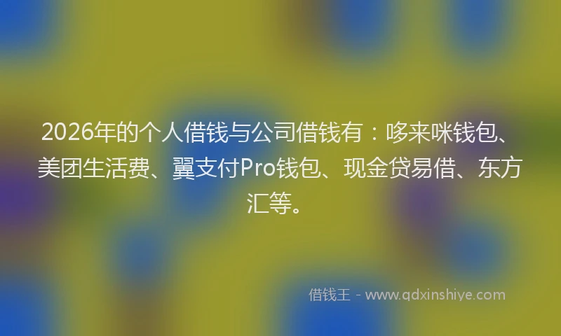 2026年的个人借钱与公司借钱有：哆来咪钱包、美团生活费、翼支付Pro钱包、现金贷易借、东方汇等。
