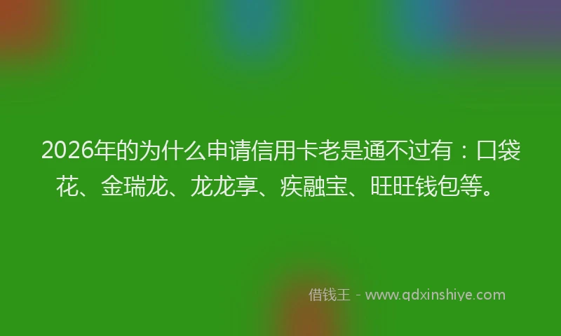 2026年的为什么申请信用卡老是通不过有：口袋花、金瑞龙、龙龙享、疾融宝、旺旺钱包等。