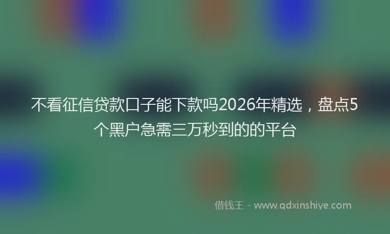 不看征信贷款口子能下款吗2026年精选，盘点5个黑户急需三万秒到的的平台