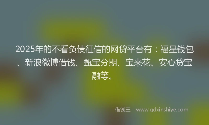 2025年的不看负债征信的网贷平台有：福星钱包、新浪微博借钱、甄宝分期、宝来花、安心贷宝融等。