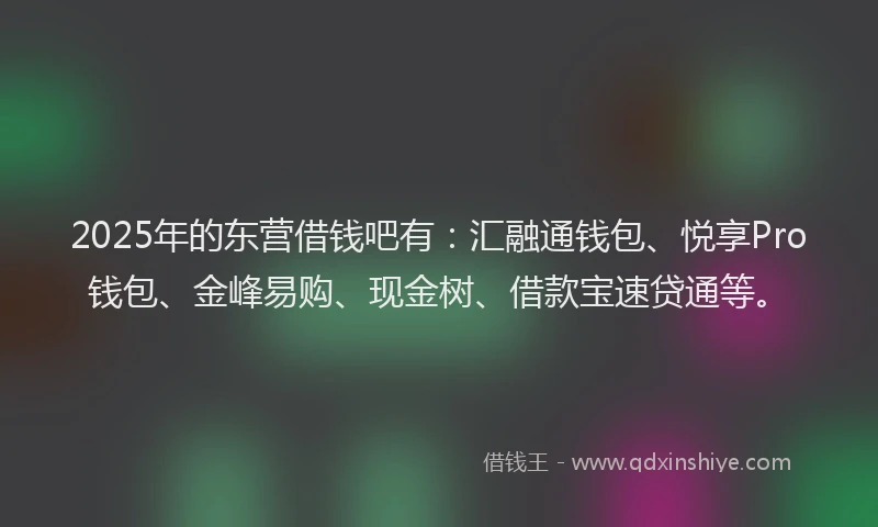 2025年的东营借钱吧有:汇融通钱包、悦享Pro钱包、金峰易购、现金树、借款宝速贷通等。