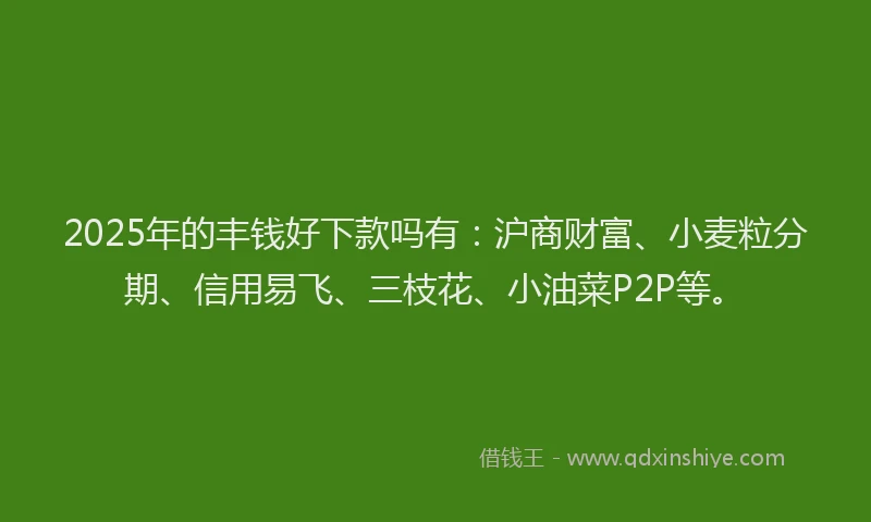 2025年的丰钱好下款吗有：沪商财富、小麦粒分期、信用易飞、三枝花、小油菜P2P等。