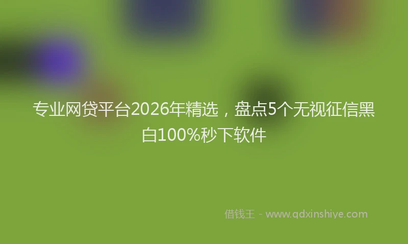 专业网贷平台2026年精选，盘点5个无视征信黑白100%秒下软件