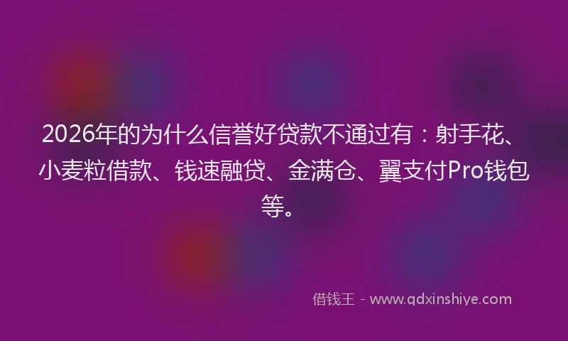 2026年的为什么信誉好贷款不通过有:射手花、小麦粒借款、钱速融贷、金满仓、翼支付Pro钱包等。