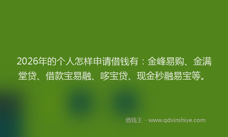 2026年的个人怎样申请借钱有:金峰易购、金满堂贷、借款宝易融、哆宝贷、现金秒融易宝等。