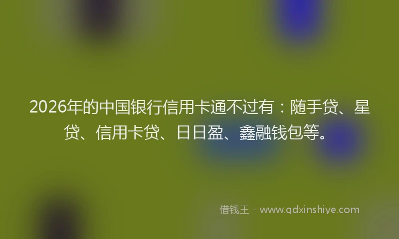 2026年的中国银行信用卡通不过有：随手贷、星贷、信用卡贷、日日盈、鑫融钱包等。