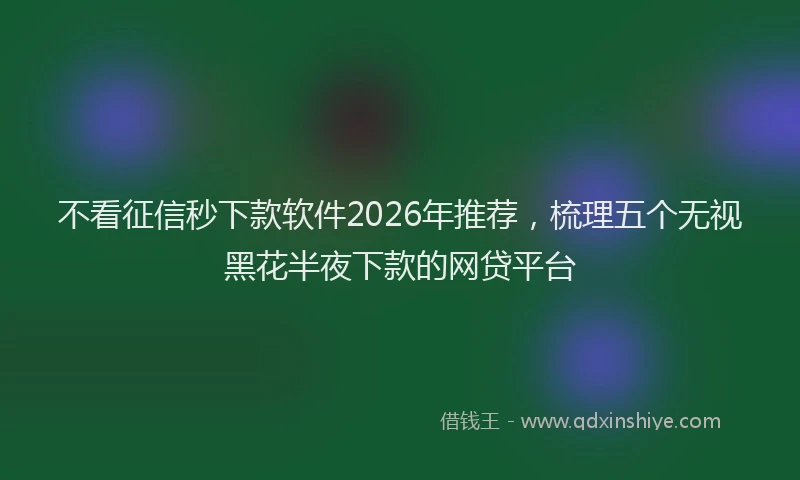 不看征信秒下款软件2026年推荐，梳理五个无视黑花半夜下款的网贷平台