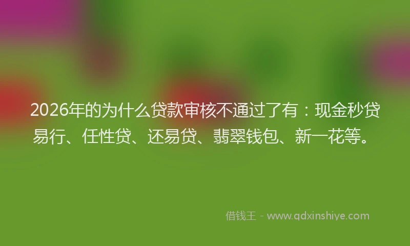 2026年的为什么贷款审核不通过了有：现金秒贷易行、任性贷、还易贷、翡翠钱包、新一花等。