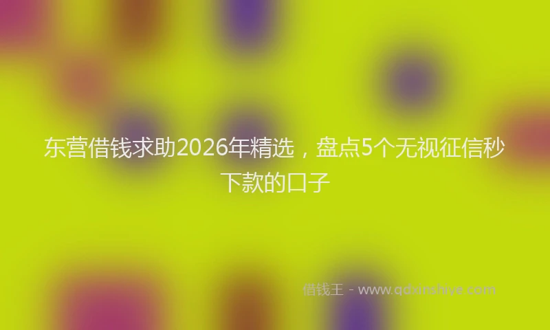 东营借钱求助2026年精选，盘点5个无视征信秒下款的口子