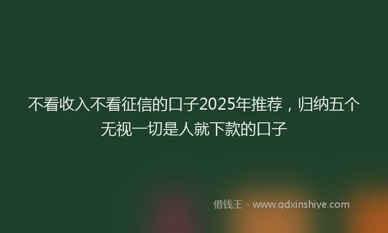 不看收入不看征信的口子2025年推荐，归纳五个无视一切是人就下款的口子