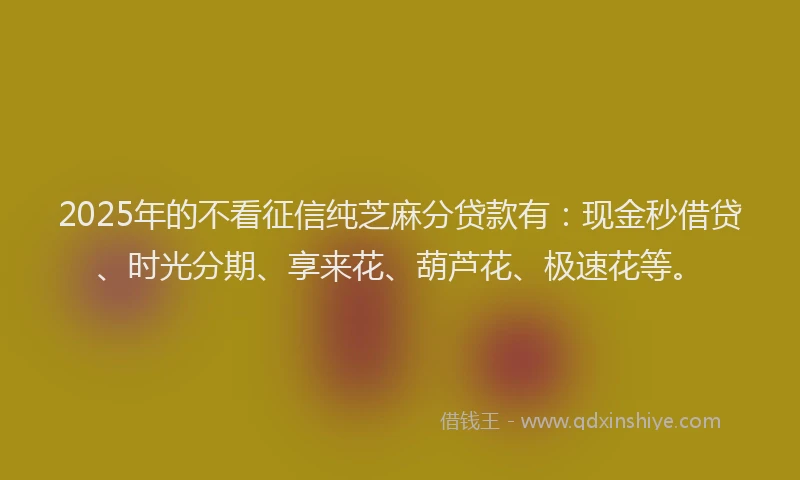 2025年的不看征信纯芝麻分贷款有：现金秒借贷、时光分期、享来花、葫芦花、极速花等。