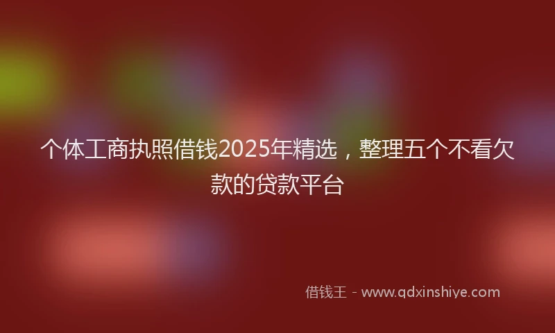 个体工商执照借钱2025年精选，整理五个不看欠款的贷款平台