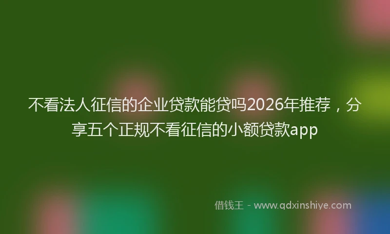 不看法人征信的企业贷款能贷吗2026年推荐，分享五个正规不看征信的小额贷款app