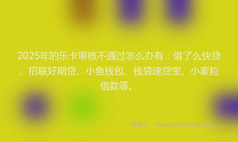 2025年的乐卡审核不通过怎么办有：借了么快贷、招联好期贷、小鱼钱包、钱袋速贷宝、小麦粒借款等。