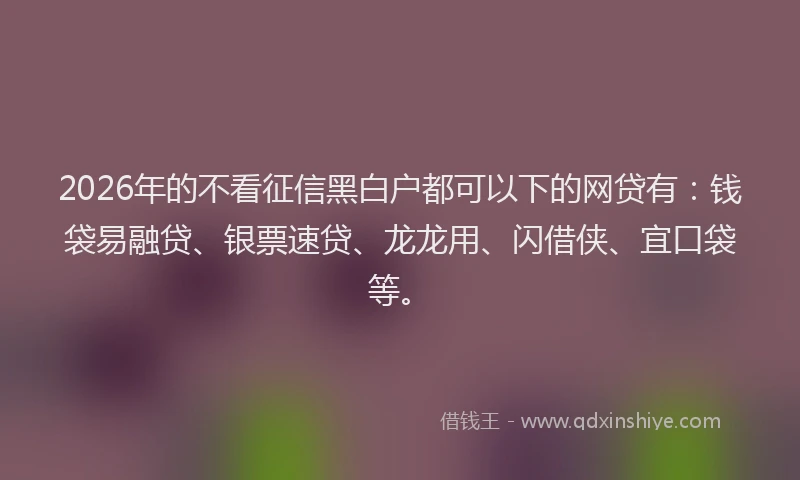 2026年的不看征信黑白户都可以下的网贷有：钱袋易融贷、银票速贷、龙龙用、闪借侠、宜口袋等。