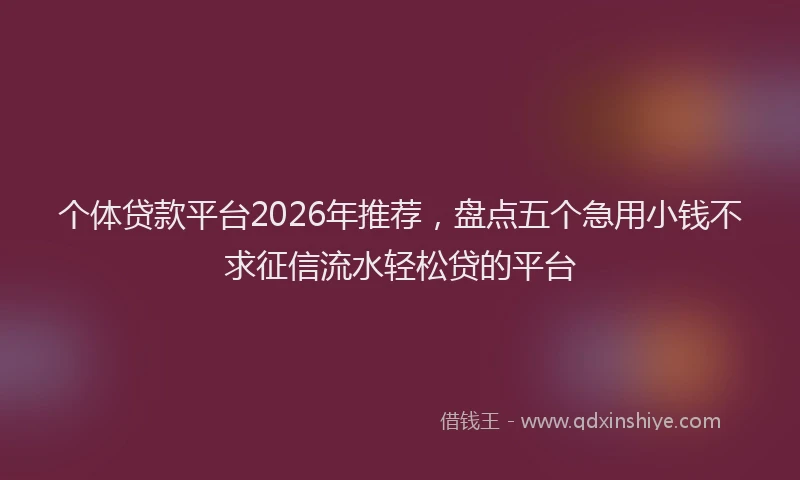 个体贷款平台2026年推荐，盘点五个急用小钱不求征信流水轻松贷的平台