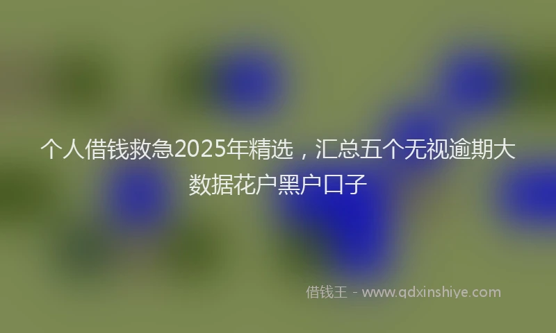 个人借钱救急2025年精选，汇总五个无视逾期大数据花户黑户口子