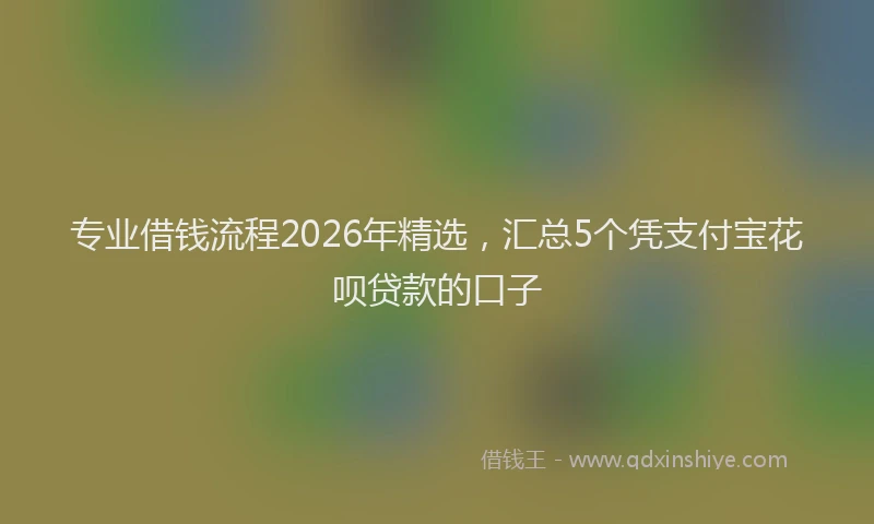 专业借钱流程2026年精选，汇总5个凭支付宝花呗贷款的口子