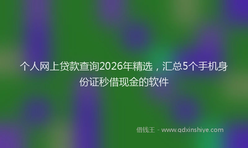 个人网上贷款查询2026年精选，汇总5个手机身份证秒借现金的软件
