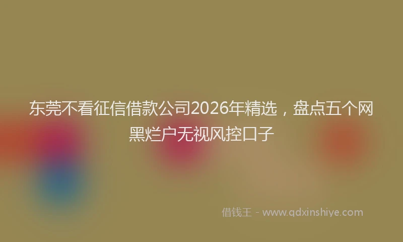 东莞不看征信借款公司2026年精选，盘点五个网黑烂户无视风控口子