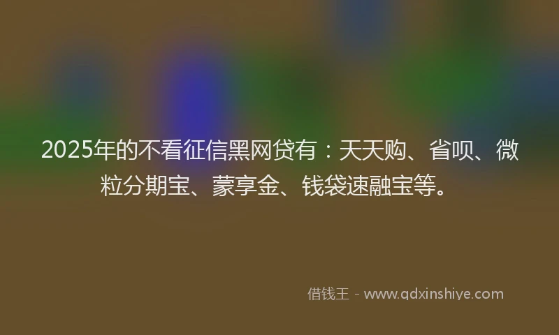 2025年的不看征信黑网贷有：天天购、省呗、微粒分期宝、蒙享金、钱袋速融宝等。