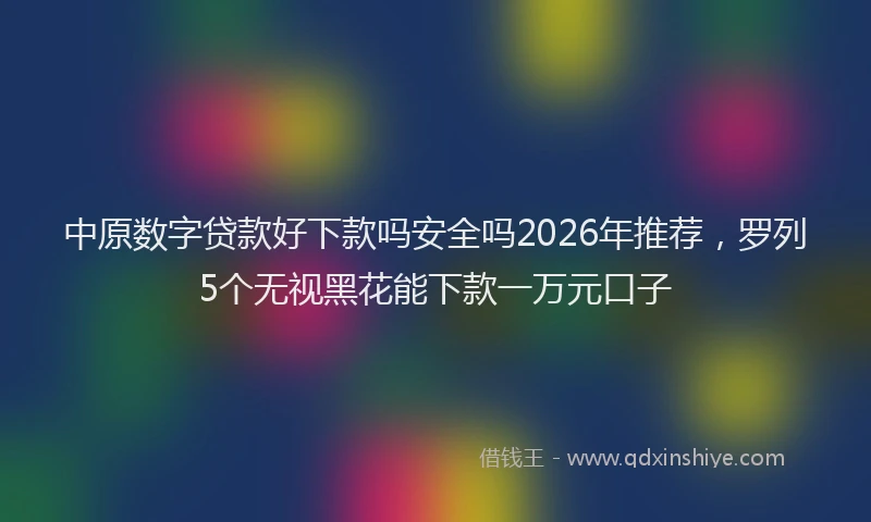 中原数字贷款好下款吗安全吗2026年推荐，罗列5个无视黑花能下款一万元口子