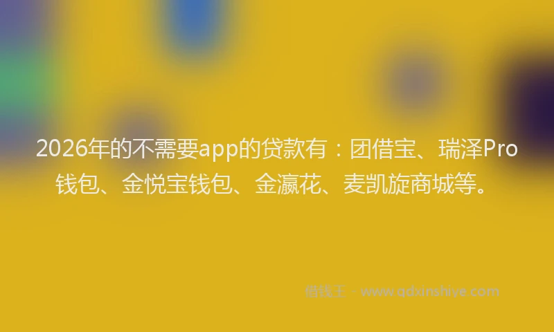 2026年的不需要app的贷款有:团借宝、瑞泽Pro钱包、金悦宝钱包、金瀛花、麦凯旋商城等。