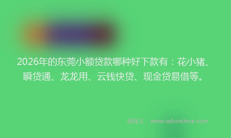 2026年的东莞小额贷款哪种好下款有：花小猪、瞬贷通、龙龙用、云钱快贷、现金贷易借等。