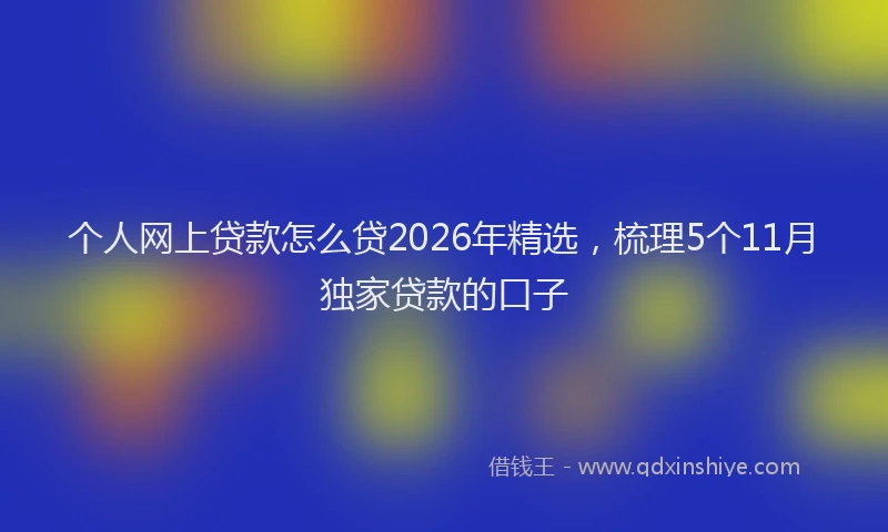 个人网上贷款怎么贷2026年精选，梳理5个11月独家贷款的口子