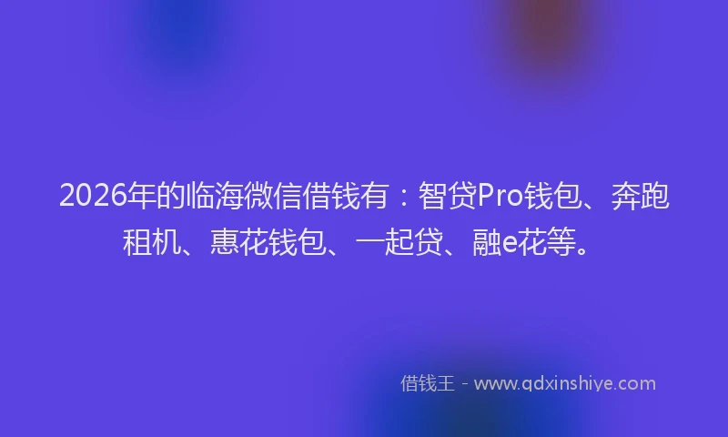 2026年的临海微信借钱有:智贷Pro钱包、奔跑租机、惠花钱包、一起贷、融e花等。