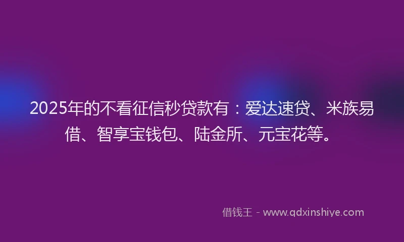 2025年的不看征信秒贷款有：爱达速贷、米族易借、智享宝钱包、陆金所、元宝花等。