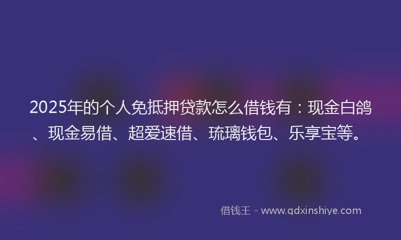 2025年的个人免抵押贷款怎么借钱有：现金白鸽、现金易借、超爱速借、琉璃钱包、乐享宝等。