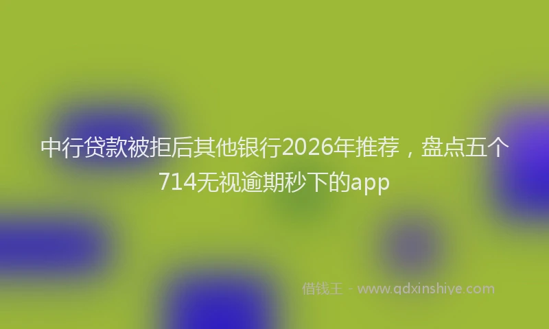 中行贷款被拒后其他银行2026年推荐，盘点五个714无视逾期秒下的app