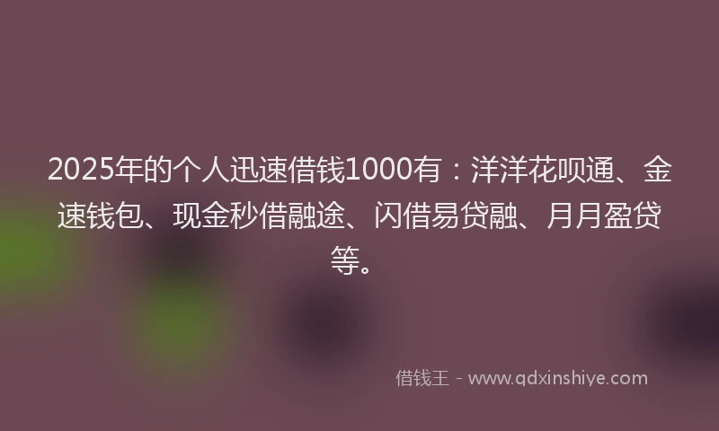 2025年的个人迅速借钱1000有：洋洋花呗通、金速钱包、现金秒借融途、闪借易贷融、月月盈贷等。