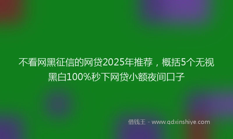 不看网黑征信的网贷2025年推荐，概括5个无视黑白100%秒下网贷小额夜间口子