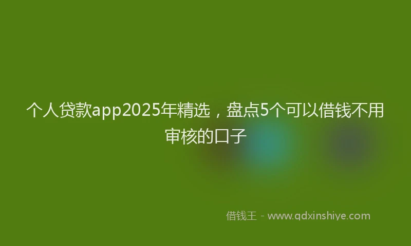 个人贷款app2025年精选，盘点5个可以借钱不用审核的口子