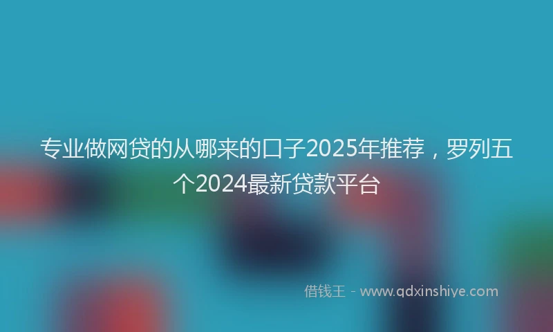专业做网贷的从哪来的口子2025年推荐，罗列五个2024最新贷款平台